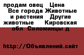  продам овец › Цена ­ 100 - Все города Животные и растения » Другие животные   . Кировская обл.,Соломинцы д.